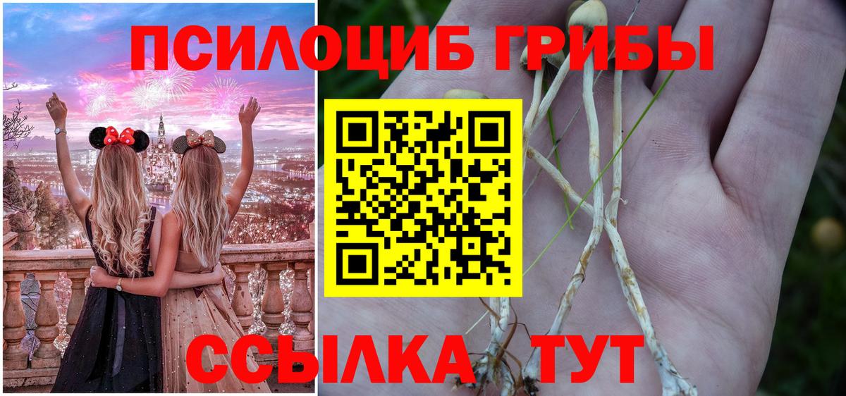 Галлюциногенные грибы мицелий Орёл