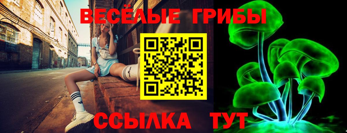 Псилоцибиновые грибы MAGIC MUSHROOMS  Галлюциногенные грибы прущие грибы  Орёл  Вход с VPN 